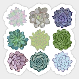 Watercolor Succulents Sticker